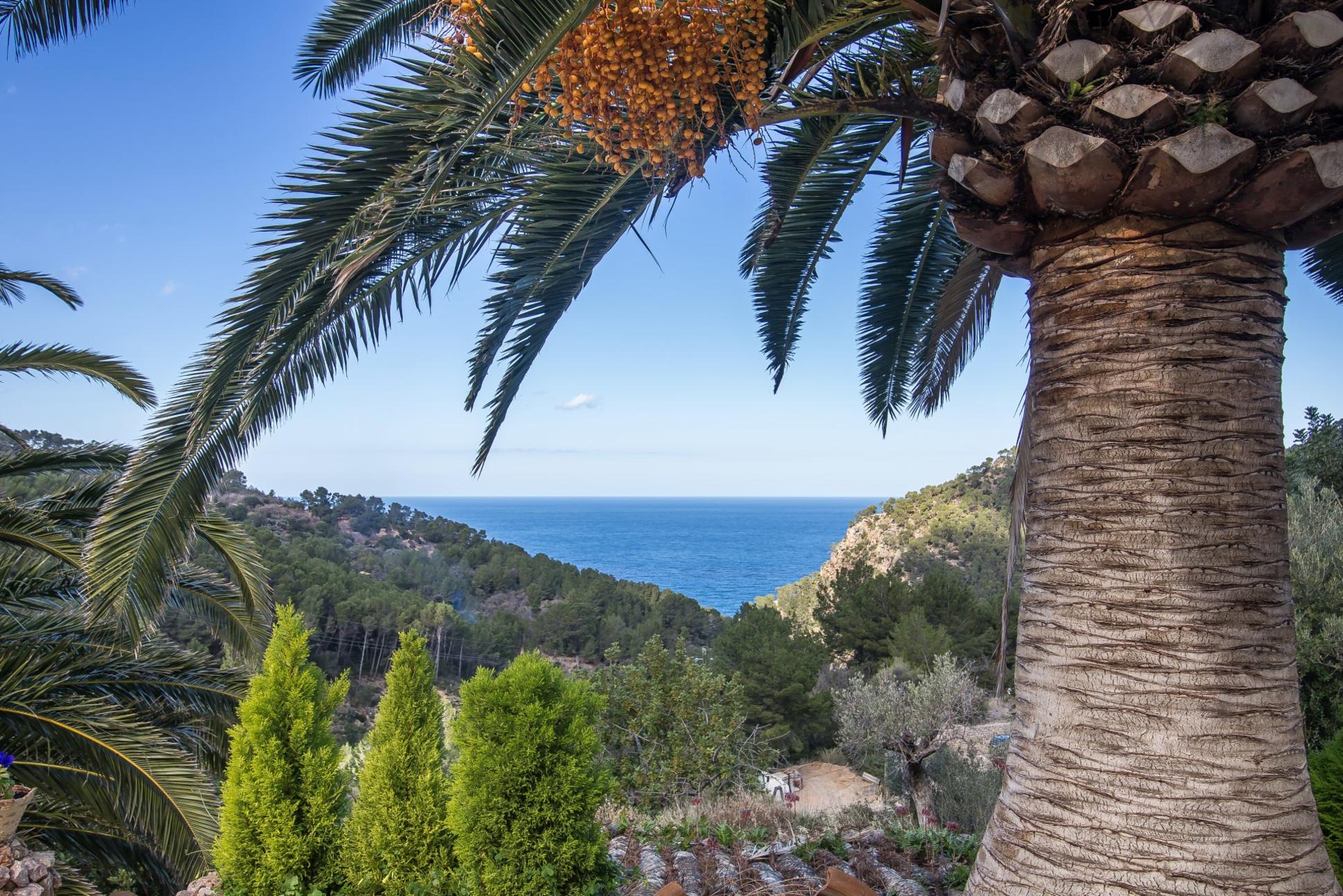 Ausblick auf Meer durch Palmenblätter auf Mallorca