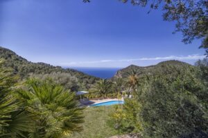 Ausblick mit blauem Himmel und Palmen auf Mallorca