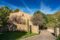 Charmante Naturstein-Finca mit Pool im schönen Tal von Andratx - Seitenansicht und Einfahrtstor