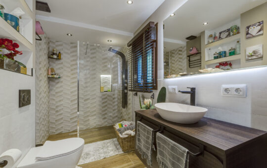 Comfortable finca with stunning panoramic mountain views in Calvià - Bathroom