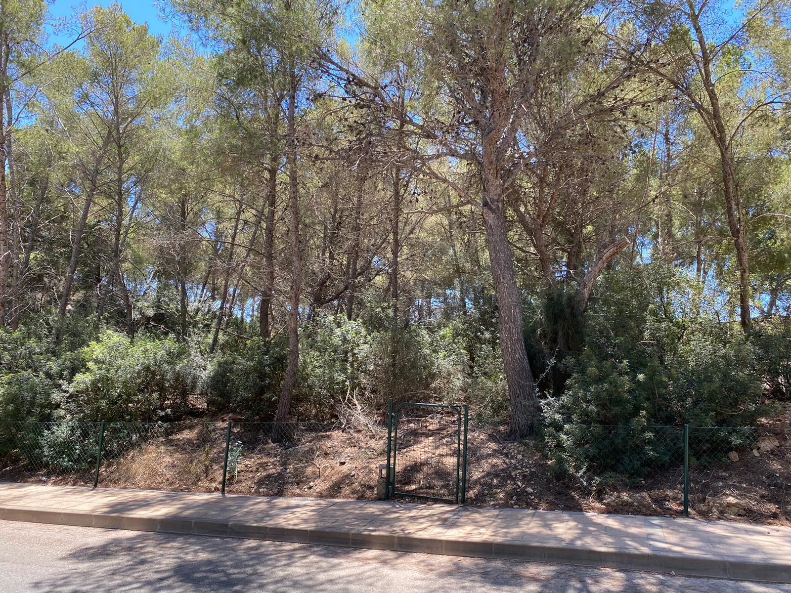 Großes Grundstück in fantastischer Lage in Sol de Mallorca - Der Gründstuck