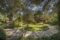 Traumhaftes Anwesen mit wunderschönem Panoramablick - Herrlicher Garten
