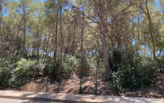Großes Grundstück in fantastischer Lage in Sol de Mallorca - Der Gründstuck
