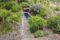 INVERSIÓN: Finca de piedra natural en el valle de Sa Coma Fría, Andratx - Zona de jardín con piscina