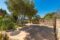 Bonita finca rústica de carácter mallorquín en Galilea - Jardín y zona de aparcamiento exterior