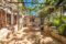 Schöne rustikale Finca mit mallorquinischem Charakter in Galilea - Terrasse