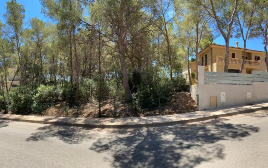Großes Grundstück in fantastischer Lage in Sol de Mallorca - Panoramica des Gründstuck