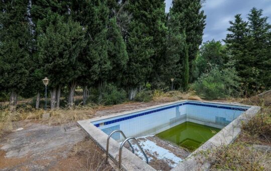 Charmante mallorquinische Finca inmitten der Natur in Puigpunyent - Pool Bereich