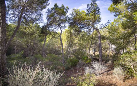 Building plot in attractive location in the Cala Llamp - Location of the plot on the upper area