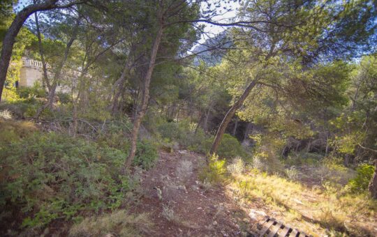 Building plot in attractive location in the Cala Llamp - Boundary of plot