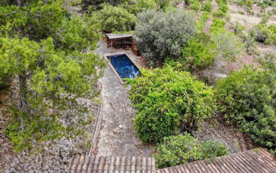 INVESTMENT: Natural stone finca in the Sa Coma Fría valley, Andratx - Garden area with swimming pool
