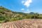 Lovely and rustic family finca in Galilea - Views to the mountains