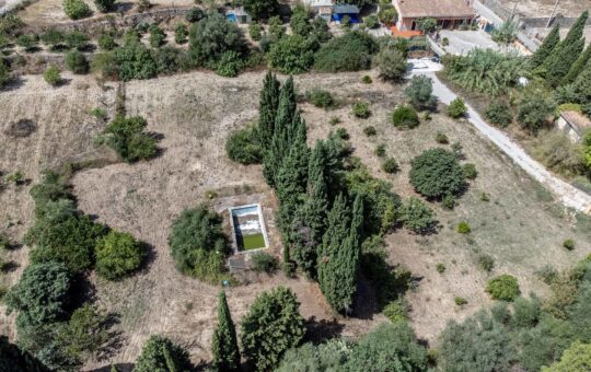 Cosy Majorcan finca surrounded by nature in Puigpunyent - Plot