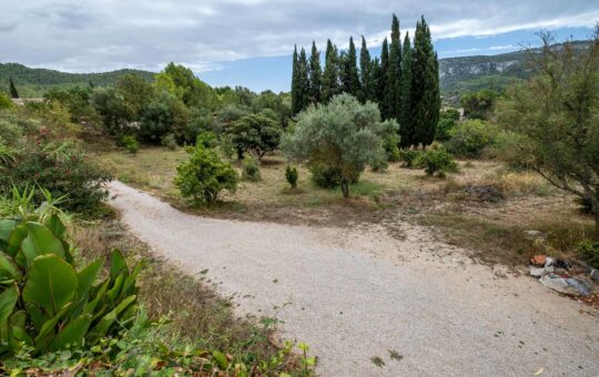 Cosy Majorcan finca surrounded by nature in Puigpunyent - Terrain