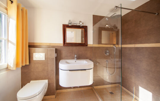 Mediterranean villa with port views in a prestigious residential area in Port Andratx - Bathroom 2