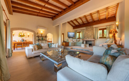 Spacious family villa with port views - Living area with terrace access and fireplace